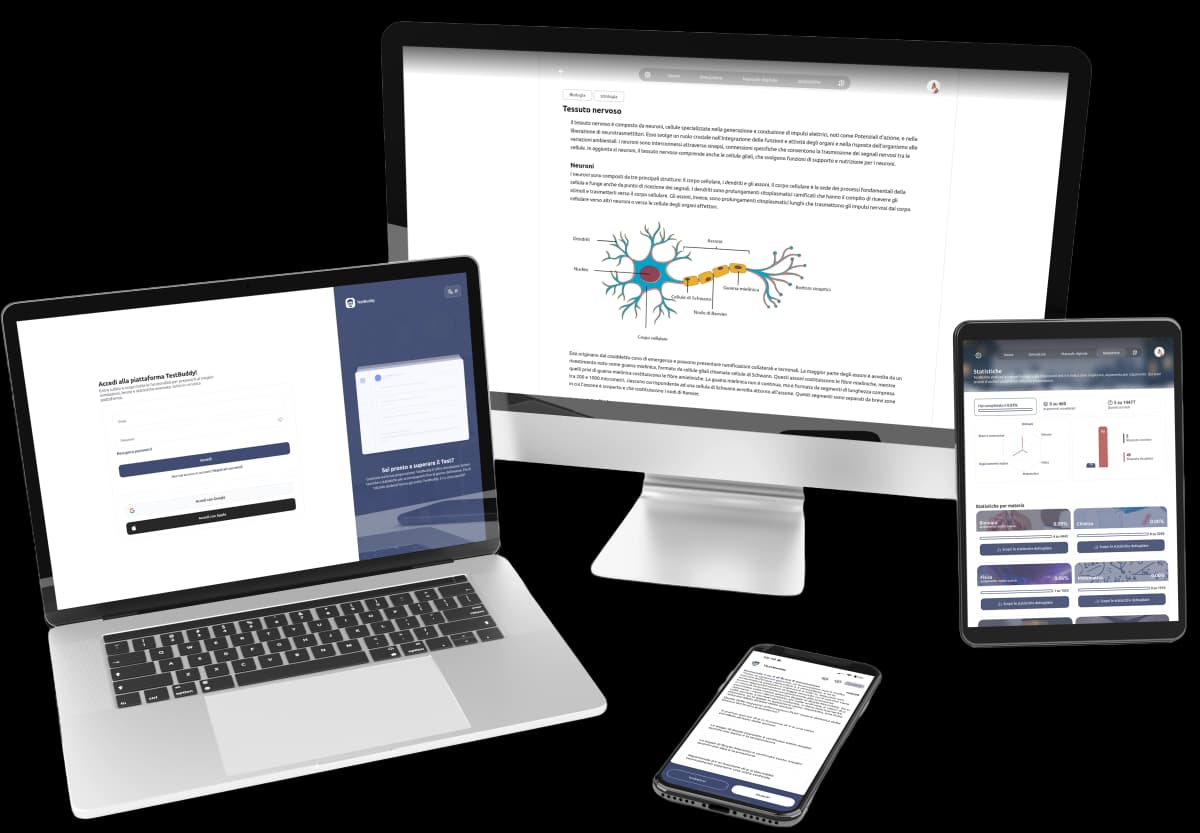 Percorso gratuito TestBuddy