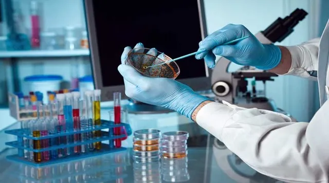 TOLC-B (Biologia)
